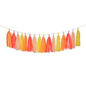 Mefuny 20PCS Tissue Paper Tassel Garland, DIY Paper Tassels Banner, Party Decorations for Baby Shower Wedding Birthday Party Thanksgiving Day