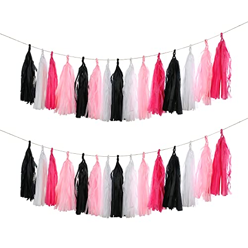 Meetppy GUZON 20PCS Hot Pink Black White Tassel Garland Party Decoration, Wedding Bachelorette Birthday Anniversary Party Decorations Backdrop Décor