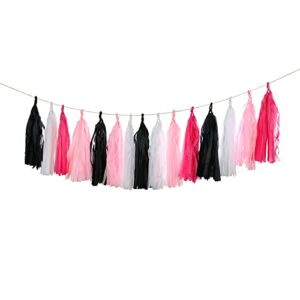 Meetppy GUZON 20PCS Hot Pink Black White Tassel Garland Party Decoration, Wedding Bachelorette Birthday Anniversary Party Decorations Backdrop Décor