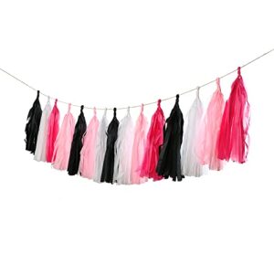 Meetppy GUZON 20PCS Hot Pink Black White Tassel Garland Party Decoration, Wedding Bachelorette Birthday Anniversary Party Decorations Backdrop Décor