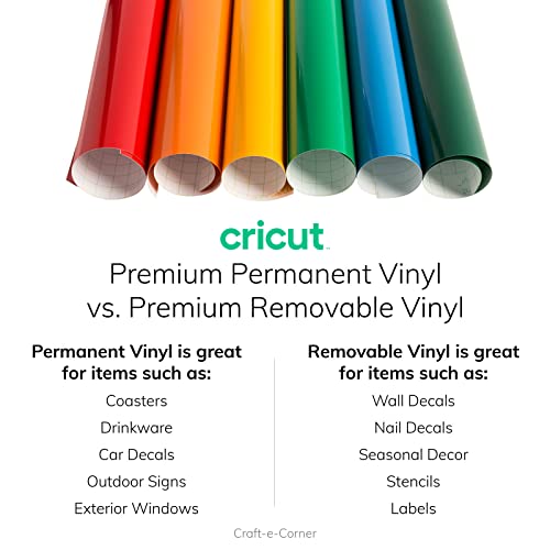 Cricut Premium Permanent Vinyl in Rainbow Colors Bundle - Custom Design DIY Craft Projects Home Decoration Decals Mug Signs Tumblers Party Personalized Gifts Glossy Weatherproof Cutting Adhesive Rolls