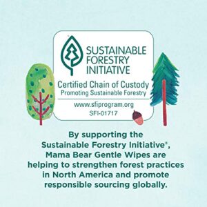 Amazon Brand - Mama Bear Gentle Fragrance-Free Baby Wipes, Hypoallergenic, 800 Count, 100 Count (Pack of 8)