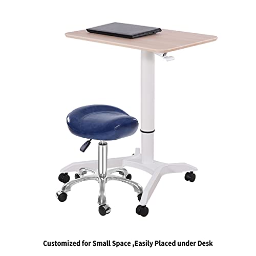 Lilfurni Saddle Stool Rolling Chair,Pneumatic Height Adjustment Stool with Wheels for Salon,Home,Office