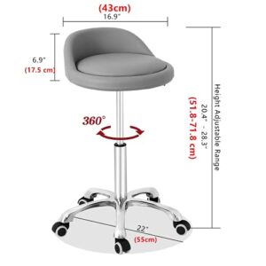 Grace & Grace Professional Gilder Series with Backrest Comfortable Seat Rolling Swivel Pneumatic Adjustable Heavy Duty Stool for Shop, Salon, Office and Home (Without Footrest, Grey)