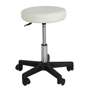 F2C Leather Adjustable Bar Stools Swivel Chairs Facial Massage Spa Salon Stool with Wheels White/Black (White)