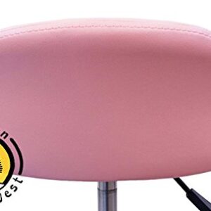 DevLon NorthWest Salon Stool with Back Rest Saddle Hydraulic Spa Stool (LIGHT PINK)