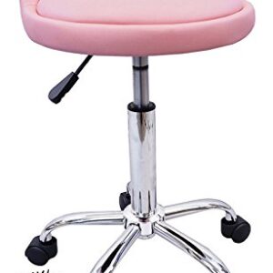 DevLon NorthWest Salon Stool with Back Rest Saddle Hydraulic Spa Stool (LIGHT PINK)