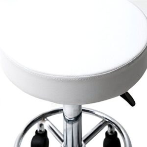 MTFY Adjustable Hydraulic Rolling Swivel Salon Stool, Saddle Stool Chair Tattoo Massage Facial Spa Stool Chair with Wheels for Tattoo,Facial Spa,Massage,Salon (Type-3,White)