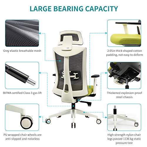 SIHOO Ergonomic Office Chair with Adjustable Lumbar Support and Armrests,Breathable Mesh Back and Padded Seat Desk Chair, Computer Chair for Work（Gray）