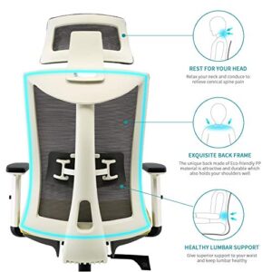 SIHOO Ergonomic Office Chair with Adjustable Lumbar Support and Armrests,Breathable Mesh Back and Padded Seat Desk Chair, Computer Chair for Work（Gray）