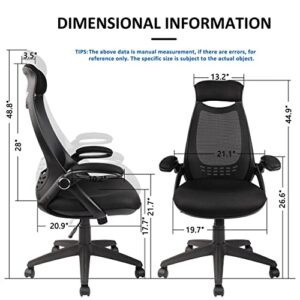 HYLONE Office Desk Chair Ergonomic, Mesh Computer Chair with Headrest, Flip Up Arms, Lumbar Support, Height Adjustable (Black)