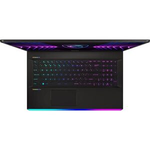 2022 MSI Raider GE77HX 12UHS-074 (i7-12800HX, 32GB RAM, 2X 1TB NVMe SSD, RTX 3080Ti 16GB, 17.3" FHD 360Hz, Windows 11) Gaming Laptop