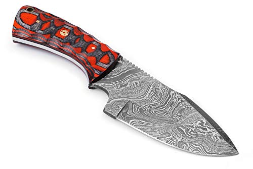 Markhor knives Damascus Custom Handmade Hunting Knife Tactical Knife 8.0 Inches Survival Knife Exotic Handle Made of Red and Black Pakkawood with Premium Leather Sheath MK- 5002 (Red)