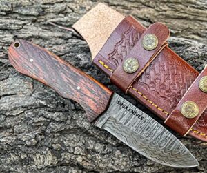 susa knives 8”fixed blade hunting knife with leather sheath, damascus steel blade outdoor survival hunting knife, natural wood handle camping knife for men and women (brown)