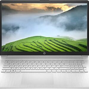 HP Newest 17.3 FHD IPS Micro-Edge Laptop, AMD Ryzen 5 5500U 6-core(Beat Intel i5-1135G7), 8GB DDR4 RAM, 512GB NVMe SSD, WiFi, Bluetooth, Numpad, HDMI, Fast Charge, Webcam, Window 11