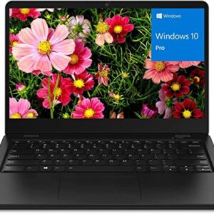 Lenovo Windows 10 Pro Business Laptop, AMD 3015e Processor up to 2.3GHz, 14" Anti-Glare, 4GB DDR4 RAM, 64GB eMMC, Bluetooth, WiFi, Type-C, Built-in Webcam, HDMI, Broag 64GB Flash Drive