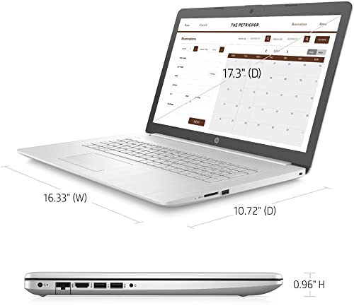 2021 Latest HP Business Laptop, 17.3" HD Anti-Glare Display, Intel 11th Gen i3-1115G4(>i5-1035G4), up to 4.1 GHz, 9 hr Battery Life,HDMI, Webcam, Windows 11, Natural Silver (32GB RAM | 1TB PCIe SSD)