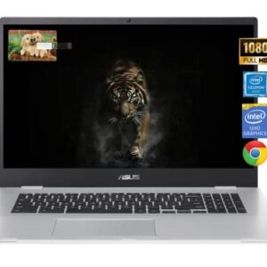 ASUS Chromebook Business Laptop, 17.3" FHD Widescreen Slim-Bezel, Intel Celeron N4500, Chrome OS, 4GB RAM, 64GB eMMC, Wi-Fi 6, Type-C, Intel UHD Graphics, Long Battery Life, Durlyfish