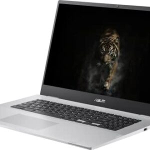 ASUS Chromebook Business Laptop, 17.3" FHD Widescreen Slim-Bezel, Intel Celeron N4500, Chrome OS, 4GB RAM, 64GB eMMC, Wi-Fi 6, Type-C, Intel UHD Graphics, Long Battery Life, Durlyfish