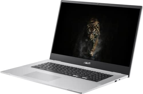 ASUS Chromebook Business Laptop, 17.3" FHD Widescreen Slim-Bezel, Intel Celeron N4500, Chrome OS, 4GB RAM, 64GB eMMC, Wi-Fi 6, Type-C, Intel UHD Graphics, Long Battery Life, Durlyfish