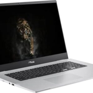 ASUS Chromebook Business Laptop, 17.3" FHD Widescreen Slim-Bezel, Intel Celeron N4500, Chrome OS, 4GB RAM, 64GB eMMC, Wi-Fi 6, Type-C, Intel UHD Graphics, Long Battery Life, Durlyfish