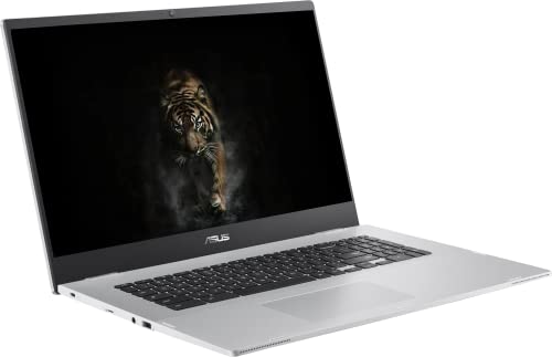 ASUS Chromebook Business Laptop, 17.3" FHD Widescreen Slim-Bezel, Intel Celeron N4500, Chrome OS, 4GB RAM, 64GB eMMC, Wi-Fi 6, Type-C, Intel UHD Graphics, Long Battery Life, Durlyfish