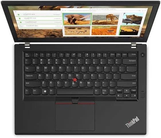 Lenovo ThinkPad T480 Laptop, 14.0 FHD (1920x1080), 8th Gen Intel Core i5-8350U, 8GB DDR4, 256 GB Solid State Drive, Windows 10 Pro (Renewed)