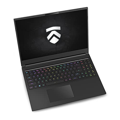 Eluktronics MECH 16 GP RTX 4090 Gaming Laptop: Intel Core i9-13900HX, 16" 16:10 240Hz QHD G-SYNC Panel, Cherry MX Mechanical Keyboard, 99.8WHr Battery, Thunderbolt 4, 2TB NVMe Gen 4 SSD, 64GB DDR5 RAM