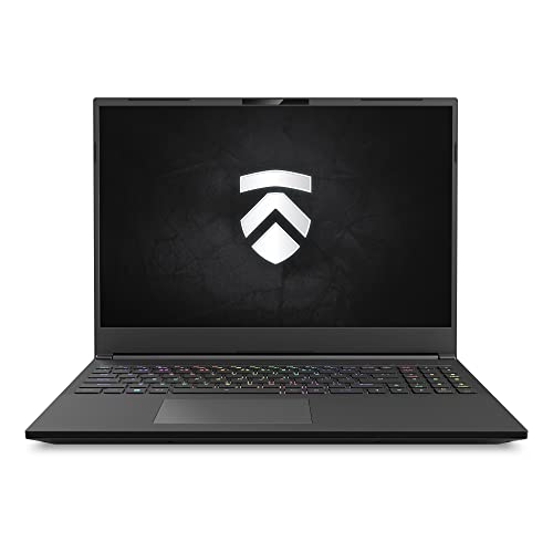 Eluktronics MECH 16 GP RTX 4090 Gaming Laptop: Intel Core i9-13900HX, 16" 16:10 240Hz QHD G-SYNC Panel, Cherry MX Mechanical Keyboard, 99.8WHr Battery, Thunderbolt 4, 2TB NVMe Gen 4 SSD, 64GB DDR5 RAM