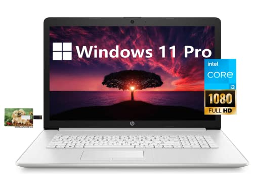 HP 17 Business Laptop Computer, 11th Gen Intel Core i3-1115G4, 17.3" FHD Display, Windows 11 Pro, 16GB RAM 512GB SSD, HDMI, Wi-Fi, Bluetooth, Webcam, 32GB Durlyfish USB Card