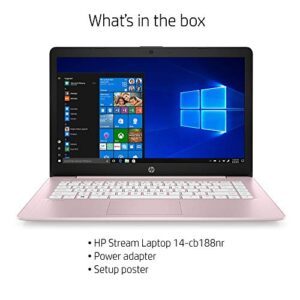 HP Stream 14in Display Intel Celeron N4000 4GB RAM 64GB eMMC Win 10 Rose Pink (Renewed)