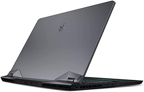 MSI GE76 Raider 17.3" 360Hz FHD Display, Intel Core i9-11980HK, NVIDIA GeForce RTX3080, 32GB, 1TB NVMe SSD, Win10 ,Titanium Blue (11UH-053)