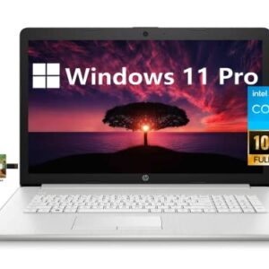 HP 17 Business Laptop Computer, 11th Gen Intel Core i3-1115G4, 17" FHD Display, Windows 11 Pro, 16GB RAM, 512GB SSD, Wi-Fi, Bluetooth, Webcam, HDMI, 32GB Durlyfish USB Card