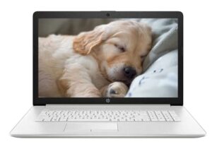 hp newest 17 business laptop, 11th gen intel core i5-1135g7, 17.3″ fhd ips display, 16gb ram, 512gb ssd, wi-fi 5, bluetooth, hdmi, webcam, windows 10 pro, durlyfish