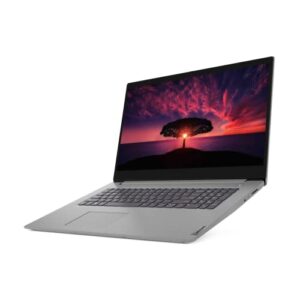 Lenovo IdeaPad 3 Business Laptop, 17.3" HD Display, Intel Core i5-1035G1, Windows 11 Pro, 8GB RAM 256GB SSD, WiFi, Bluetooth,32GB Durlyfish USB Card