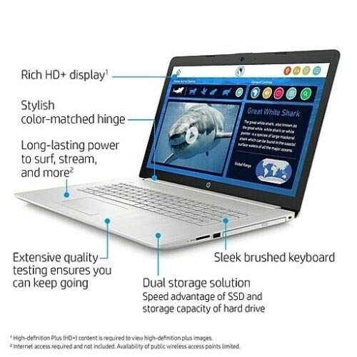 HP 17-by3065st 17.3" Notebook 10th GEN i5 8GB RAM 128GB SSD + 1TB HDD DVDRW Windows 10 17.3" HD+ 1600X900