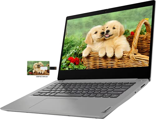 Newest Lenovo IdeaPad 3 14 Business Laptop, Intel Pentium Silver N5030 Processor, 14" HD Display, 4GB RAM, 128GB SSD, Wi-Fi, Webcam, HDMI, Windows 10 Home | 32GB Tela USB Card