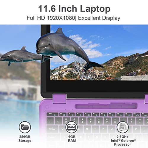 AWOW Touchscreen Laptop with Stylus, 2 in 1 11.6" FHD Purple Intel 4 Core Celeron N4120 Processor Windows 11 OS 6GB RAM 256GB M.2 SSD Storage Kids Convertible Laptop