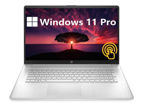 HP [Windows 11 Pro] 17.3" HD Touchscreen Business Laptop, AMD Ryzen 5-5500U, 32GB RAM, 1TB SSD, HDMI, WiFi, Type-C, Full-Size Keyboard, Numeric Keypad, Long Battery Life, USB Business Card