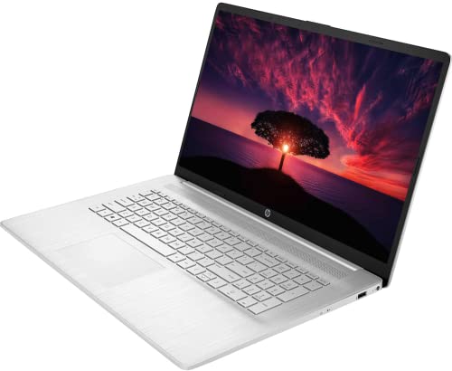 HP [Windows 11 Pro] 17.3" HD Touchscreen Business Laptop, AMD Ryzen 5-5500U, 32GB RAM, 1TB SSD, HDMI, WiFi, Type-C, Full-Size Keyboard, Numeric Keypad, Long Battery Life, USB Business Card