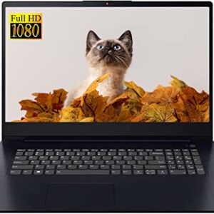 Lenovo IdeaPad 3i 17.3” FHD Business Laptop, 11th Gen Intel Core i3-1115G4(up to 4.10 GHz), 20GB RAM 1TB PCIe SSD, USB A&C, HDMI, Windows 11 Home