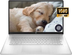 hp 17.3” fhd ips display business laptop, amd ryzen 5 5500u processor, windows 10 pro, 16gb ram, 512gb ssd, wi-fi, bluetooth, webcam, fingerprint reader, natural silver