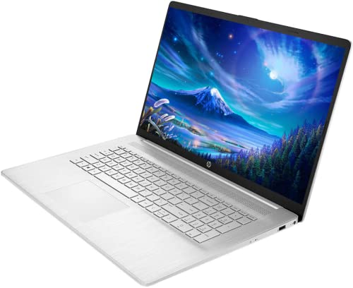 HP 17 Business Laptop Computer, 17.3" HD Touchscreen, AMD Ryzen 5 5500U up to 4.0GHz (Beat i5-10500H), Windows 10 Pro, 12GB RAM, 512GB SSD, WiFi, Bluetooth 5.0, Webcam, Tech Deal USB