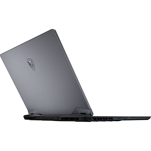 MSI Raider GE66 15.6" QHD 240Hz Gaming Laptop: Intel Core i7-12700H RTX 3070 Ti 32GB DDR5 1TB NVMe SSD, USB-Type C, Thunderbolt 4, Cooler Boost 5, Win11 Home: Titanium Blue 12UHS-236