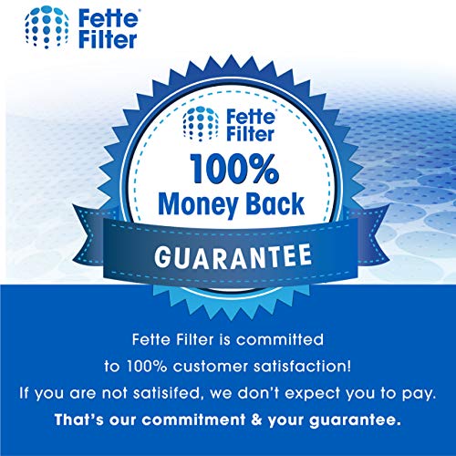 Fette Filter - Replacement Water Filter Compatible with Breville Claro Swiss For Oracle, Barista & Bambino - Compare to Part #BES008WHT0NUC1 (Pack of 3)