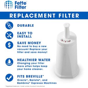 Fette Filter - Replacement Water Filter Compatible with Breville Claro Swiss For Oracle, Barista & Bambino - Compare to Part #BES008WHT0NUC1 (Pack of 3)