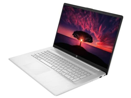 HP [Windows 11 Pro] Business Laptop, 11th Gen Intel Core i5-1135G7, 17.3" FHD IPS Display, 32GB RAM, 1TB SSD, HDMI, Full-Size Backlit Keyboard, Numeric keypad, Type-C, Long Battery Life, Durlyfish