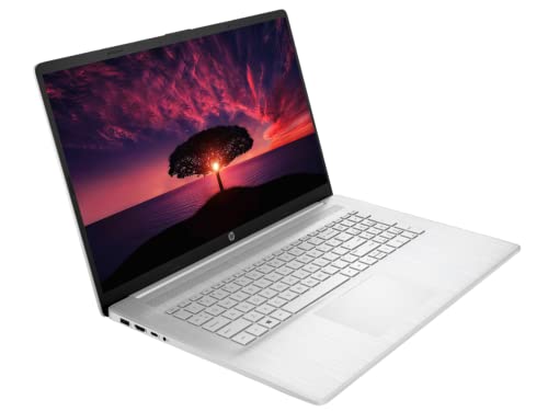 HP [Windows 11 Pro] Business Laptop, 11th Gen Intel Core i5-1135G7, 17.3" FHD IPS Display, 32GB RAM, 1TB SSD, HDMI, Full-Size Backlit Keyboard, Numeric keypad, Type-C, Long Battery Life, Durlyfish