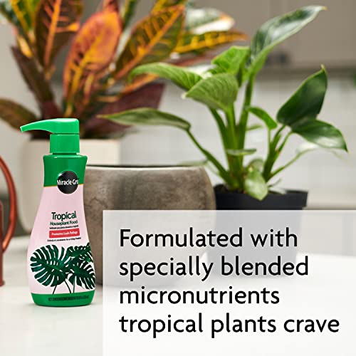 Miracle-Gro Tropical Houseplant Food - Liquid Fertilizer for Tropical Houseplants, 8 fl. oz., 2-Pack