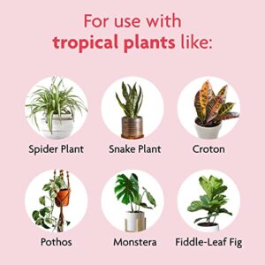 Miracle-Gro Tropical Houseplant Food - Liquid Fertilizer for Tropical Houseplants, 8 fl. oz., 2-Pack